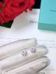 T & C o 925 sterling silver Earrings - Best Quality (4)_th.jpg